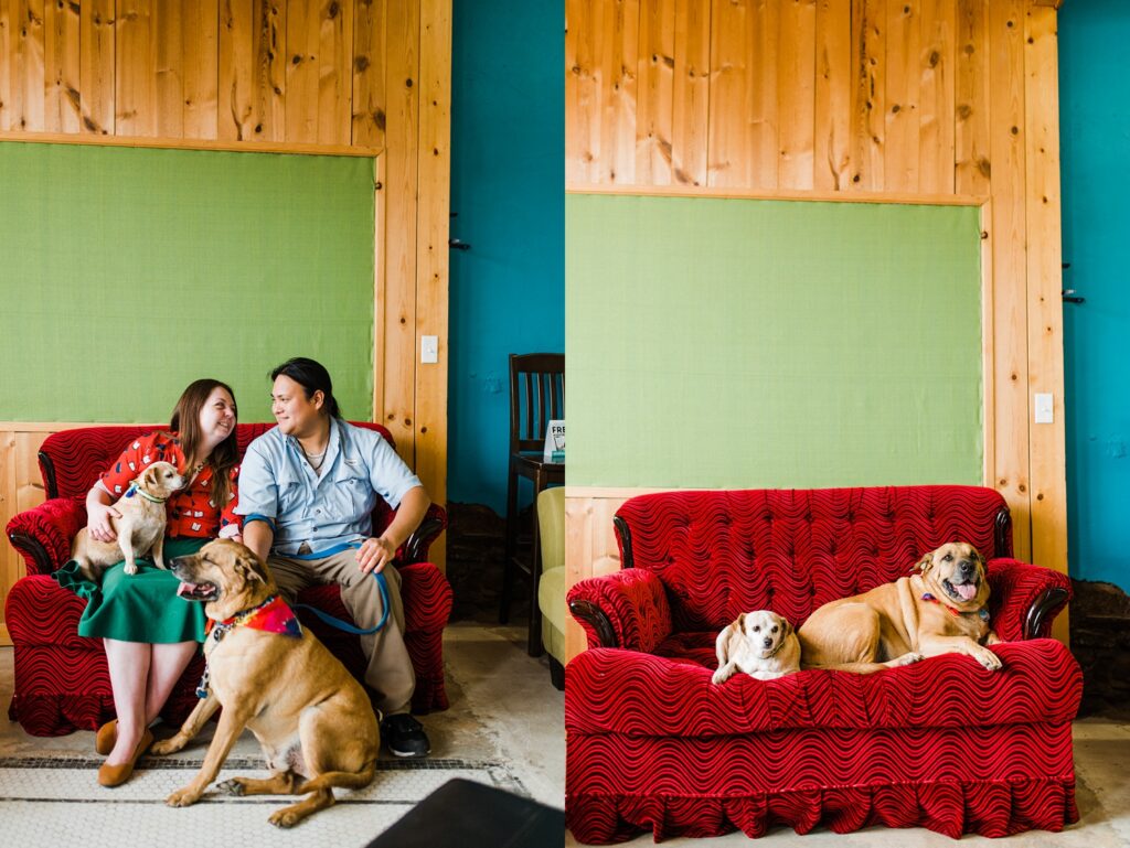Owners of Sundrop books and their dogs sitting together in the red couch. Second photo: Dogs sitting on red couch together.